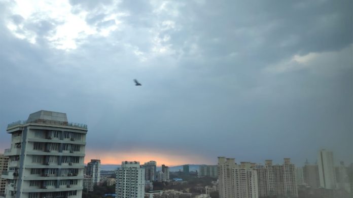 Maharashtra Weather Updates : राज्यात आजपासून विजांच्या कडकडाटासह पाऊस, वीज पडून शेतकऱ्याचा मृत्यू 