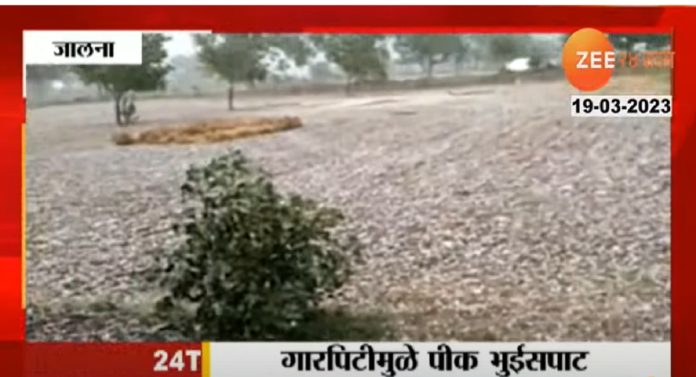 Maharashtra Weather : आभाळ फाटलं! मराठवाडा, नगर-नाशिकमध्ये गारपिटीचा तडाखा; शेतकऱ्यांच्या डोळ्यांत पाणी