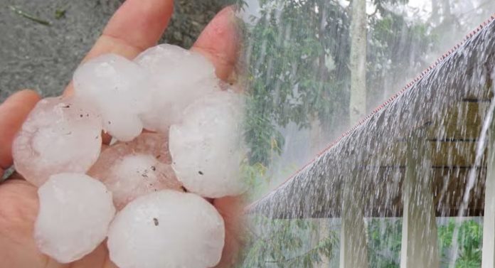 Maharashtra Weather : गारपीट, अवकाळीनं शेतकऱ्यांच्या स्वप्नांवर पाणी; संकटांचे ढग दूर जाईना 