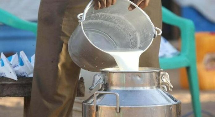 Milk Adulteration : राज्यात भेसळयुक्त दूधाचा पूर; लहानग्यांच्या जीवाशी खेळतंय कोण?