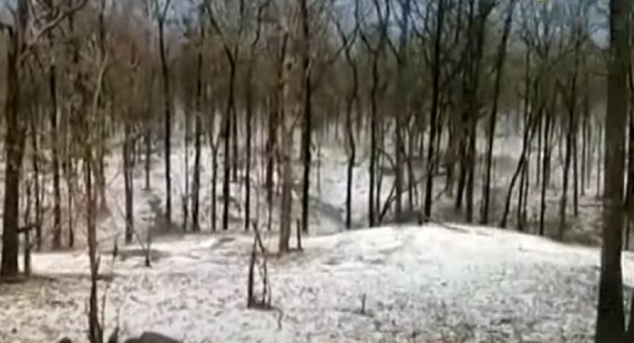 Nagpur Video : हे बर्फाच्छादित काश्मीर नव्हे, हे तर नागपूर.... ; गारांचा खच पाहून व्हाल थक्क 