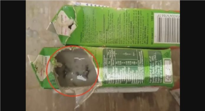 Shocking News : नामांकित कंपनीच्या ताकाच्या पाकिटात आढळले किडे;  शिर्डी पदयात्रेदरम्यान धक्कादायक प्रकार उघड