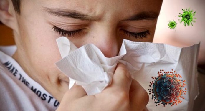 काळजी घ्या! H3N2 विषाणूचा महाराष्ट्रात कहर, पुण्यानंतर 'या' शहरात वाढतायेत रुग्ण