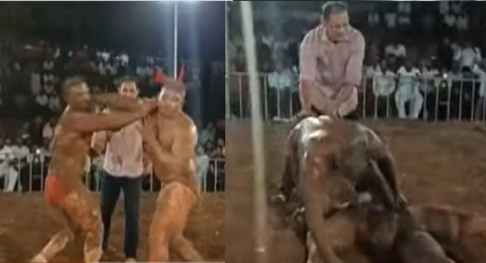 कुस्तीच्या महान परंपरेला गालबोट! इराणी पैलवानाला मारहाण करणाऱ्या माऊली कोकाटेवर कारवाई होणार?