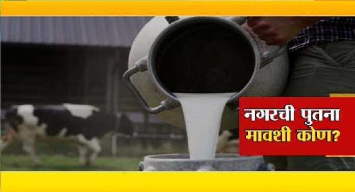 तुमच्या दुधात विष? भेसळखोरांनी केला कहर... नगर जिल्ह्यात धक्कादायक प्रकार उघडकीस