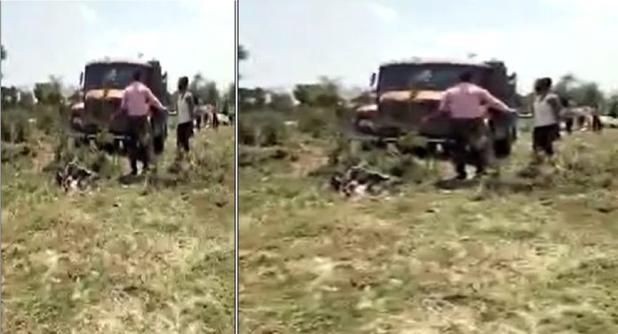 Accident : तीन लेकरांना घेऊन बाईकवरुन घरी निघाले, पण वाटेतच... कुणीच वाचलं नाही; अंगावर काटा आणणारी घटना 