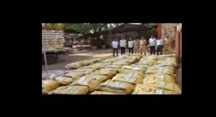 Crime : डोंगर रांगांमध्ये शेतकऱ्याने केली गांजाची शेती;  45 लाखांचा मुद्देमाल जप्त