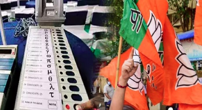 Pune Lok Sabha Election : पुणे लोकसभा पोटनिवडणुकीसाठी भाजपकडून उमेदवारांची चाचपणी, या नावांची चर्चा