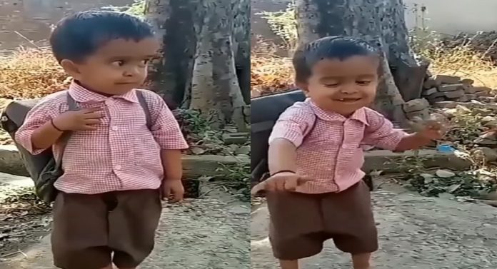 Viral Video : 'मला बाई दारुड्या भेटलाय नवरा...'; गाण्यावर चिमुकल्याचा डान्स पाहिला का?