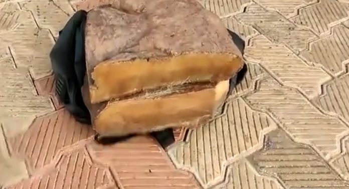 10 कोटी 74 लाखाची व्हेल माशाची उलटी जप्त; कोल्हापूर पोलिसांची मोठी कारवाई