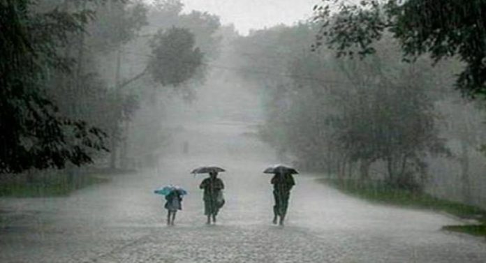 Weather Update : कोकणात पाऊस, पुढच्या पाच दिवसांमध्ये काय असतील हवामानाचे तालरंग? जाणून घ्या 