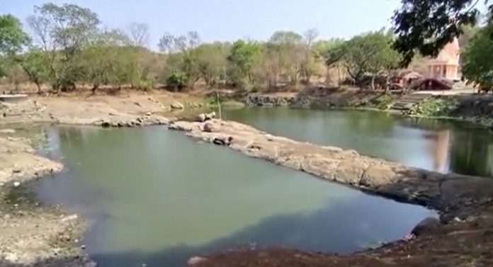 कल्पनाही करु शकत नाही असं घडलं, पाळीव कुत्रा निमित्त ठरला... बहिण भावाचा दुर्दैवी मृत्यू 