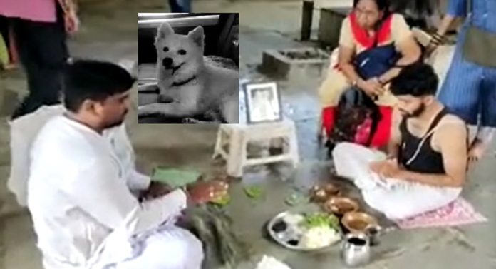 कुत्र्याचं पहिलं वर्षश्राद्ध! जाधव कुटुंबियांच्या डोळ्यात पाणी