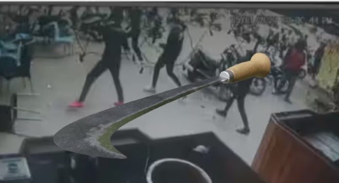 पुण्याचा बिहार होतोय? पुण्यात पुन्हा कोयता गँगचा धुमाकूळ