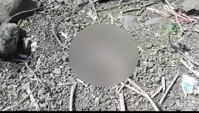 लातुरमध्ये खळबळ! तलावाशेजारी सापडला मानवी सांगाडा; ४ महिन्यांपूर्वीच्या 'त्या' घटनेशी संबंध?