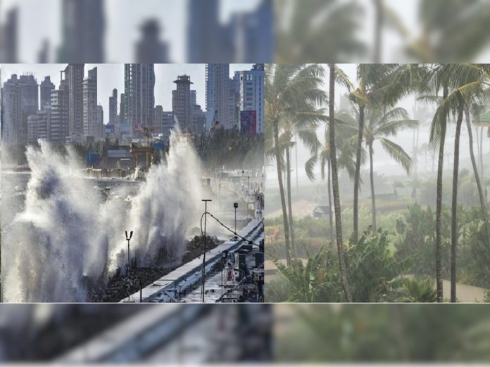 Biparjoy Cyclone : बिपरजॉय चक्रीवादळामुळे मुंबईत हाय अलर्ट, रायगडला वादळाचा तडाखा तर तळकोकणात पेरणीला वेग
