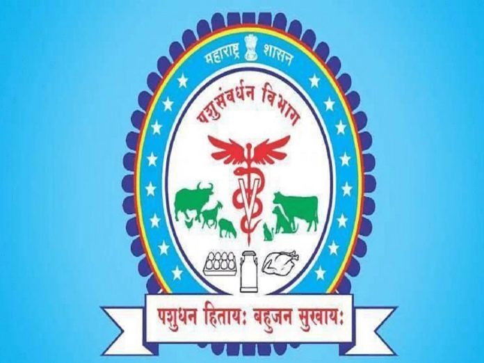 Govt Job: राज्याच्या पशुसंवर्धन विभागात बंपर भरती, 'येथे' पाठवा अर्ज
