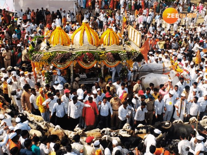 Pandharpur Wari: संत तुकाराम महाराजांच्या पालखीला काटेवाडीत का घातलं जातं मेंढ्यांचं रिंगण? 