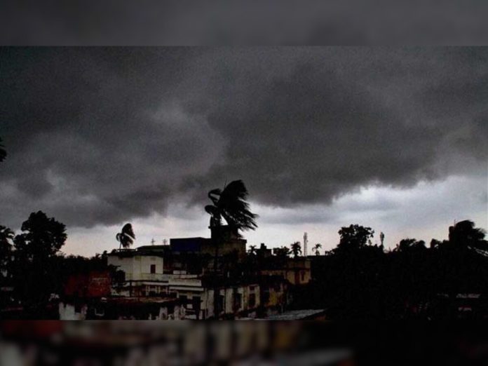 Rain News : पावसाने राज्यातील 7 जिल्ह्यांना झोडपले, वादळाचा तडाखा; झाड कोसळून महिलेचा मृत्यू