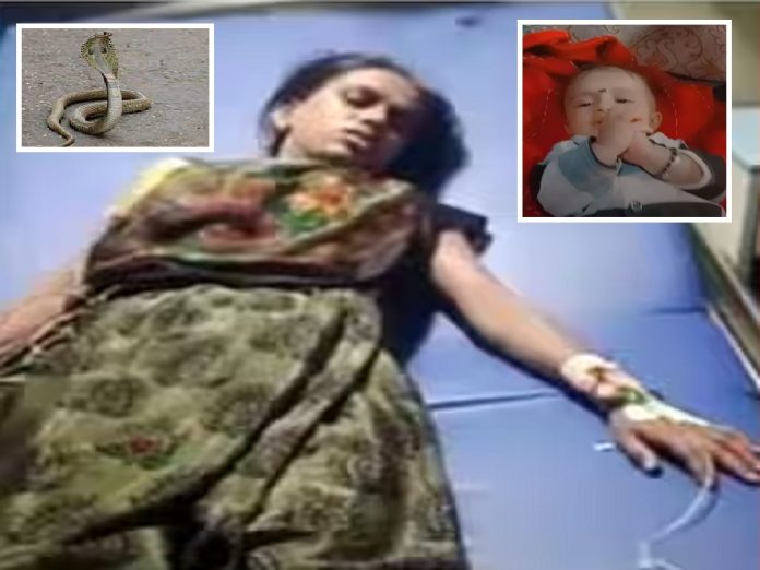 Snake News : पहाटे अचानक बाळ रडायला लागलं, आई उठून बघितलं तर नागाचा तान्हुल्याला विळखा; तिनं हाताने नागाला...