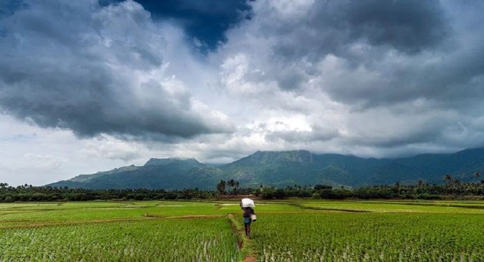 Weather Forecast : पुढील दोन दिवस कोकणासह गोव्यात पाऊस वीकेंड गाजवणार, शेतकऱ्यांची चिंता मिटणार 