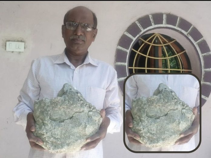 काय सांगता! इथे महाराष्ट्रातच होते महाकाय डायनासोर; शास्त्रज्ञांनी पुराव्यासह सांगितलं नामशेषाचं कारण