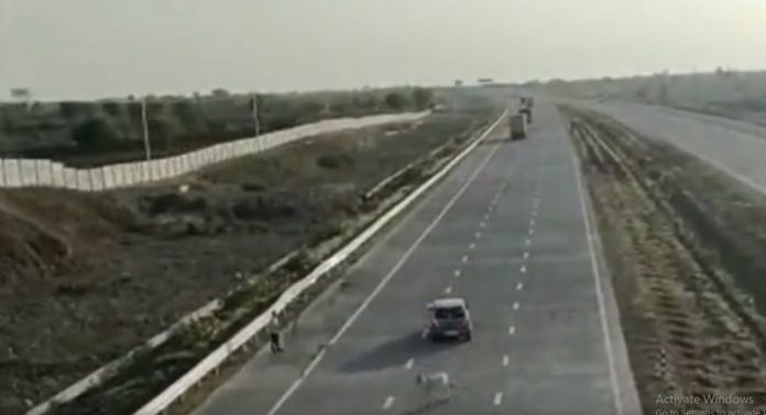 कुत्रा आडवा आला; समृद्धी महामार्गावर कारचा भीषण अपघात