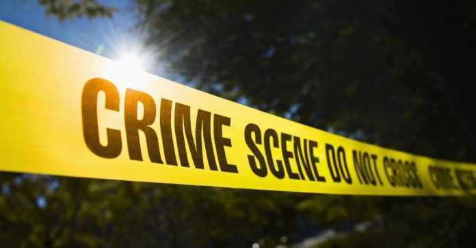 ठेकेदाराच्या भावाने 8 महिन्यांपासून पगार थकवला, संतापलेल्या मजुराने थेट डोक्यात फळीच घातली अन् पुढे... 