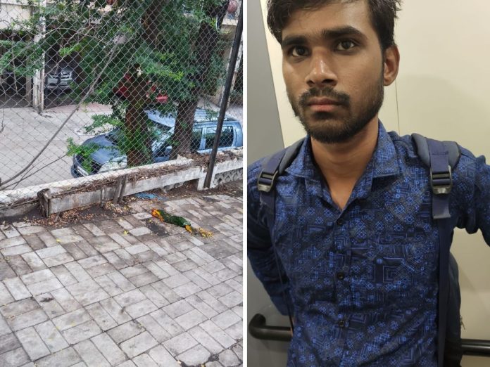 पुणेः तरुण कामाला निघाला, कपाऊंडला हात लावताच कोसळला अन् जागीच गतप्राण झाला title=