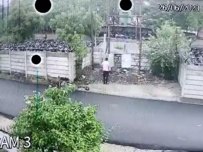 पोलीस हवालदाराने डीपीमध्ये हात घालत स्वतःला संपवलं; धक्कादायक प्रकार सीसीटीव्हीत कैद title=