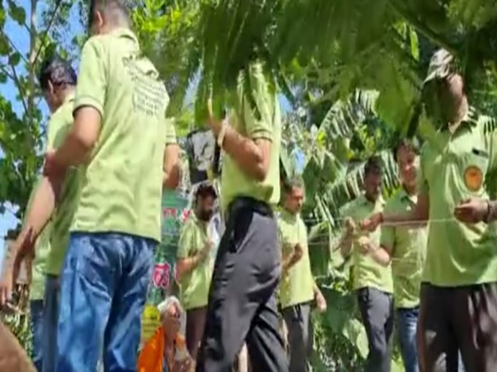 "बायकोने माझं वाटोळं केलं" पत्नी पीडित नवरोबांच्या पिंपळाच्या झाडाला 121 उलट्या फेऱ्या