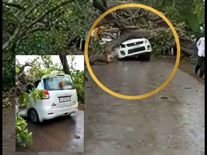 मुसळधार पाऊस अन् सोसाट्याचा वारा; नंदूरबारमध्ये चालत्या कारवर झाड कोसळले, एक ठार 
