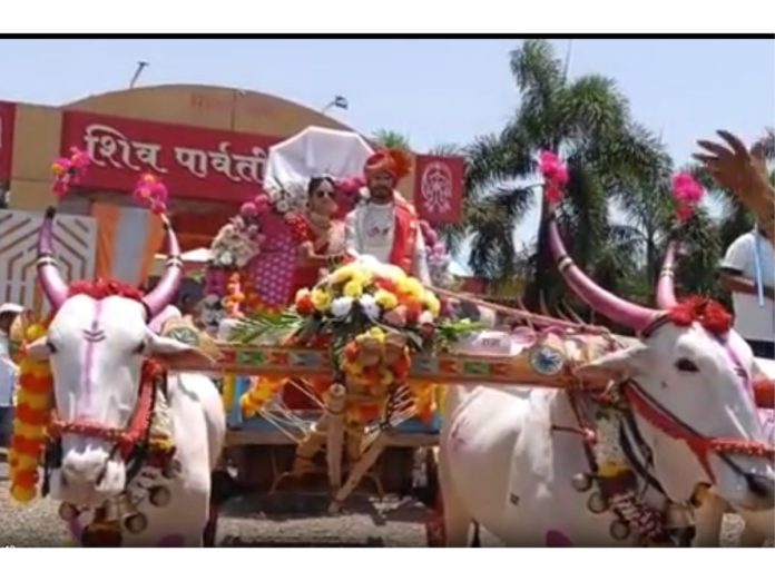 वावर हाय तर पॉवर हाय! रुबाबात बैलगाडी हाकत वऱ्हाड घेऊन निघाला नवरदेव