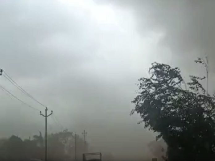 शेतात काम करत असतानाच मृत्यूने गाठले; पाऊस सुरु होण्याआधीच मृत्यूचे थैमान