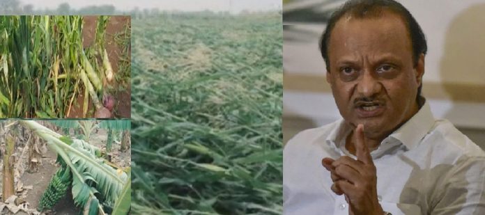  Ajit Pawar : पावसाने शेतकऱ्यांचा घास हिरावला, राज्य सरकारला नुकसानीचा अंदाजच नाही - अजित पवार