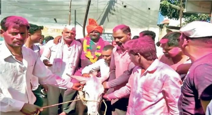 Holi 2023:  गाढव तयार पण, जावई सापडेनात; गावकऱ्यांची शोधा शोध सुरुच