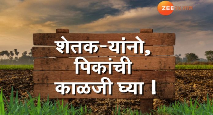 IMD Rain alert : उन्हाळ्यात पडणार पाऊस, हवामान विभागाचा इशारा! शेतकऱ्यांनो पिकांची काळजी घ्या!