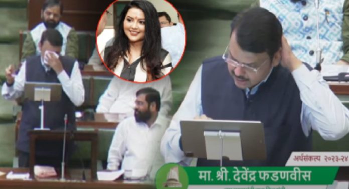 Maharashtra Budget 2023: "मी 'अमृता'कडे वळतो म्हटलं तर..."; फडणवीसांच्या त्या विधानानंतर सभागृहात पिकला हशा