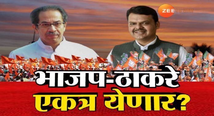 Maharashtra Politics: भाजप - ठाकरे एकत्र येणार? युतीबाबत संजय राऊत यांचे मोठं वक्तव्य 