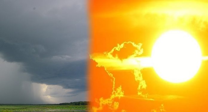 Maharashtra Weather Update : फेब्रुवारीत उन्हाळा, मार्चमध्ये पावसाळा? हवामान विभागाचा इशारा पाहून धक्का बसेल 