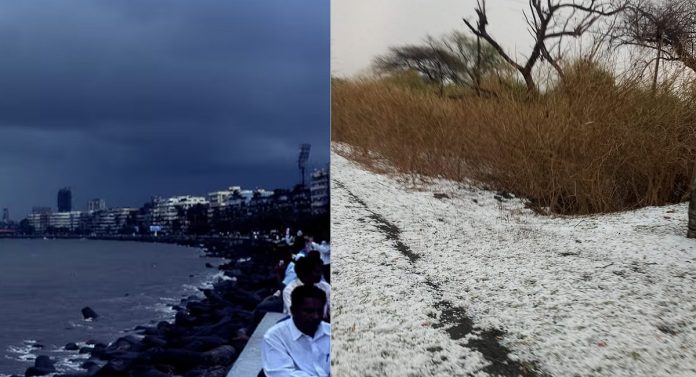 Maharashtra Weather : देहरादून नव्हे, हे तर धुळे; सोसाट्याचा वारा, गारपीटीनं महाराष्ट्राला झोडपलं 