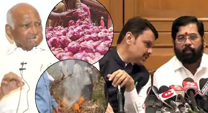 Onion Price Issue: कांदाप्रश्नावरुन शरद पवारांचा शिंदे सरकारला टोला! म्हणाले, "महाराष्ट्रामध्ये देवेंद्र फडणवीसाहेब..."
