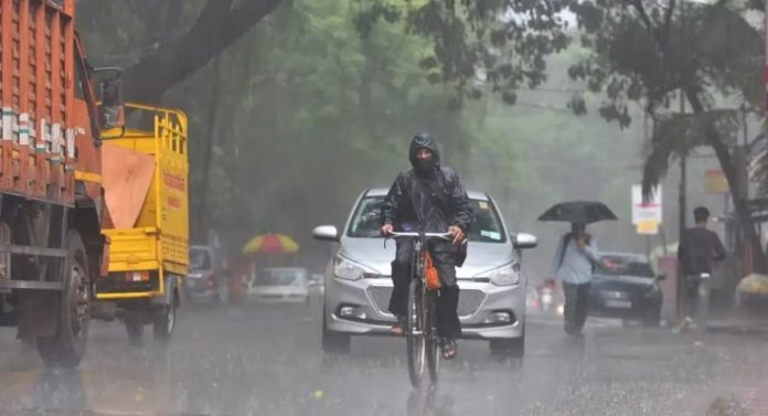 Rain Alert: पुढील 4 दिवस महत्त्वाचे; राज्याच्या 'या' भागात गारपिटीसह पावसाची शक्यता