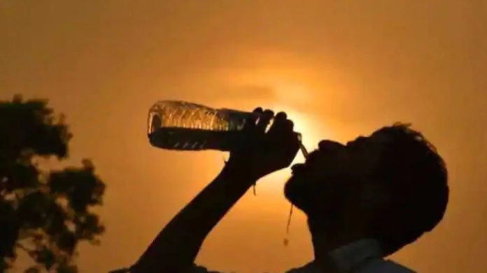 Heat Wave : राज्यात चौथ्यांदा उष्णतेच्या लाटेचा इशारा, आतापर्यंत 4 जणांचे बळी