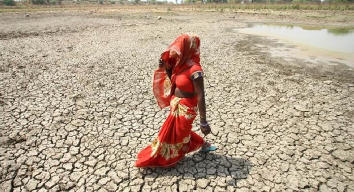 Heatwave: रणरणत्या उन्हात 7 किमी पायपीट केल्याने गरोदर महिलेचा मृत्यू! पालघरमधील धक्कादायक घटना