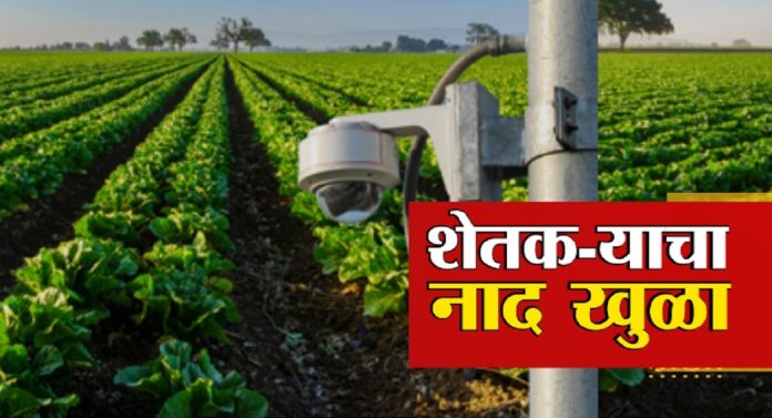 Maharashtra Farmer : घरात बसून करतोय शेताची राखण; शेतकरी कधी काय करेल याचा नेम नाही