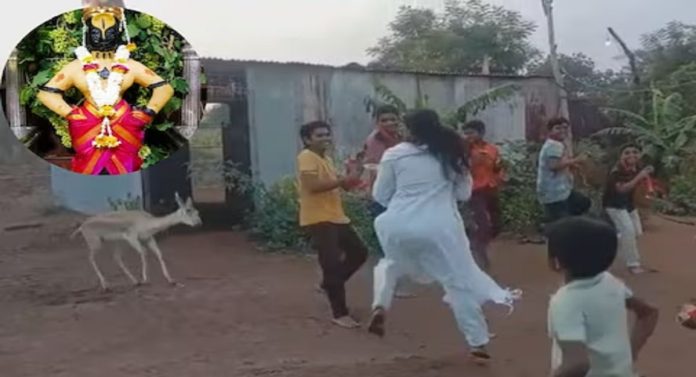  Viral : पांडुरंगाच्या भक्तीत तल्लीन झालेल्या हरणाचा Video पाहिलात का?