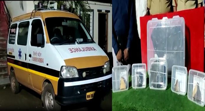 धक्कादायक! तस्करीसाठी अ‍ॅम्बुलन्सचा वापर; थरारक कारवाईत 5.43 कोटींची व्हेल माशाची उलटी जप्त
