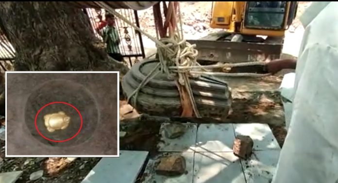 महादेवाच्या पिंडीखाली सापडलं 700 वर्षापूर्वीचं सोन्याचं कासव; मंदीर परिसरात एकच गर्दी