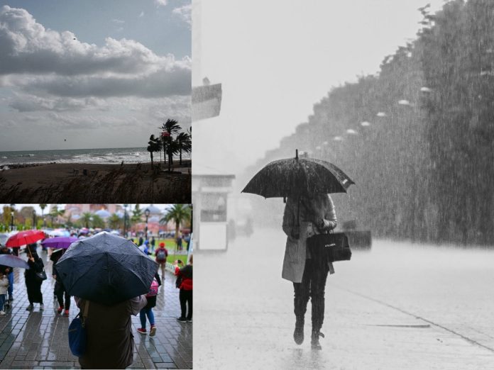 मान्सूनबाबत मोठी बातमी, कर्नाटक आणि केरळमध्ये 'या' दिवशी दाखल